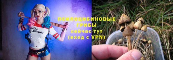 бошки Алексин