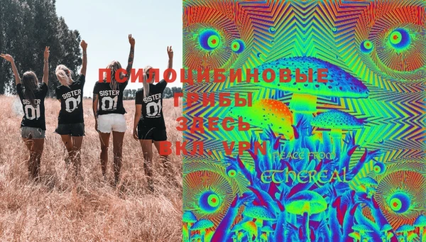 прущая мука Алзамай