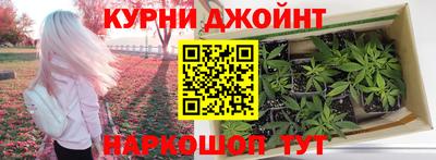 ГАЛЛЮЦИНОГЕННЫЕ ГРИБЫ Свободный