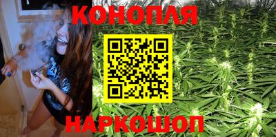 ГАЛЛЮЦИНОГЕННЫЕ ГРИБЫ Свободный